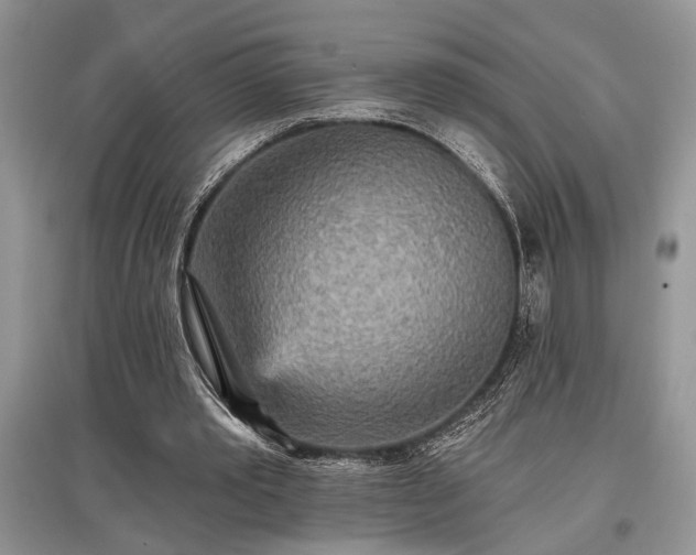 X0000097610389200803071454