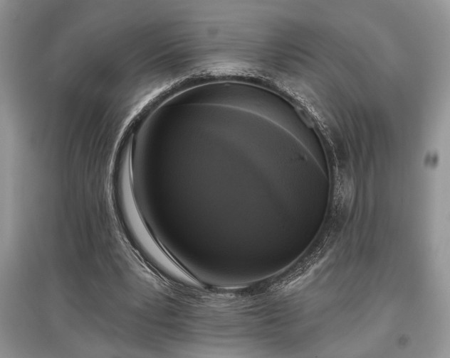 X0000097610391200803071454
