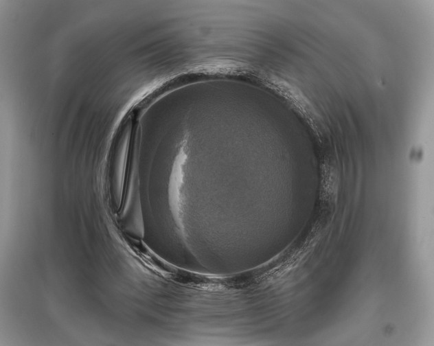 X0000097610392200803071454