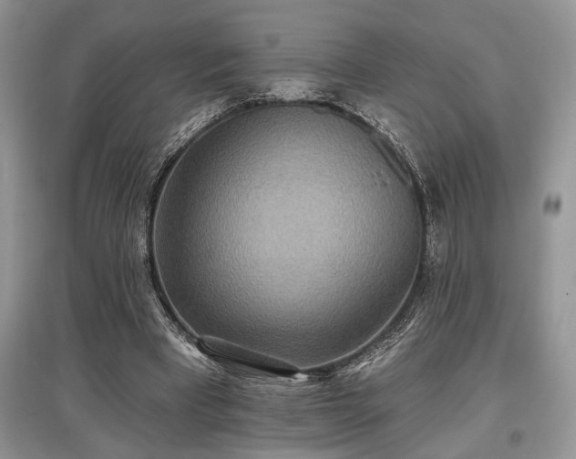 X0000097610393200803071454