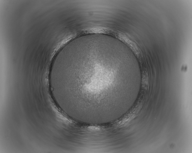 X0000097610394200803071454
