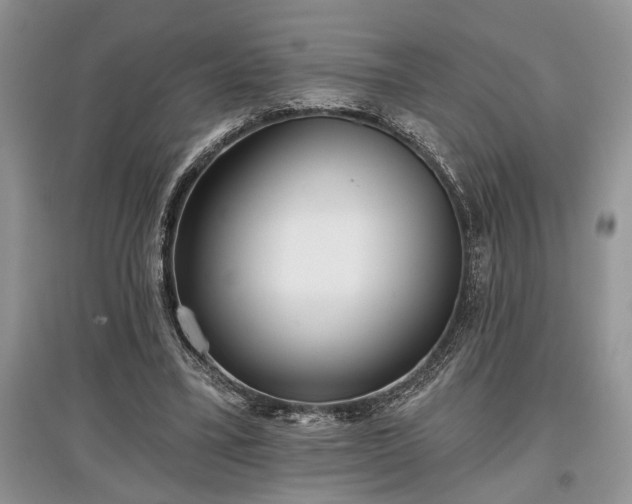 X0000097610395200803071454