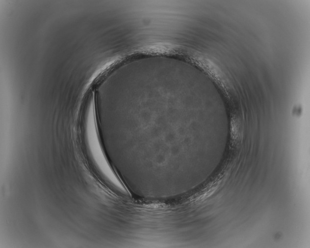 X0000097610396200803071454