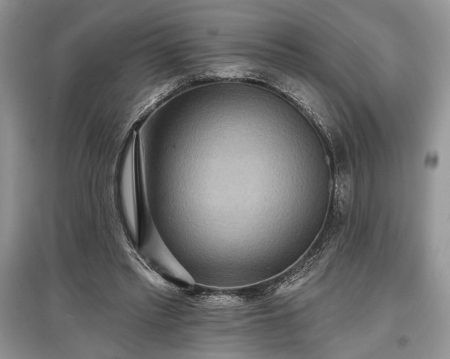X0000097610397200803071454