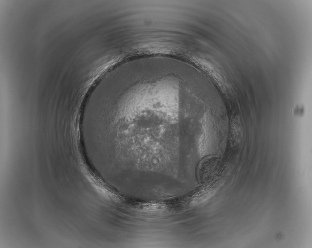 X0000097610398200803071454