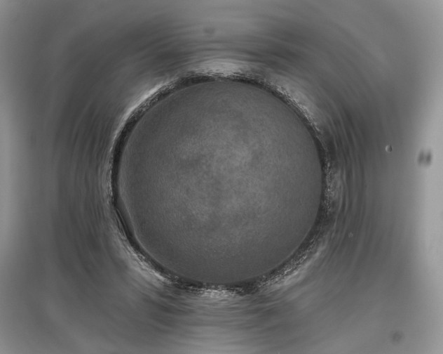 X0000097610399200803071454
