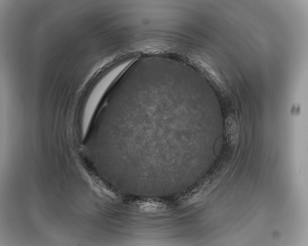 X0000097610400200803071454