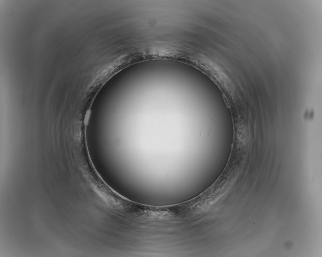 X0000097610401200803071454