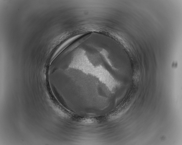 X0000097610402200803071454