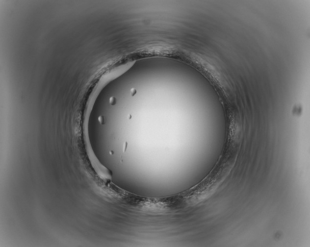 X0000097610403200803071454