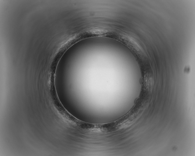 X0000097610404200803071454