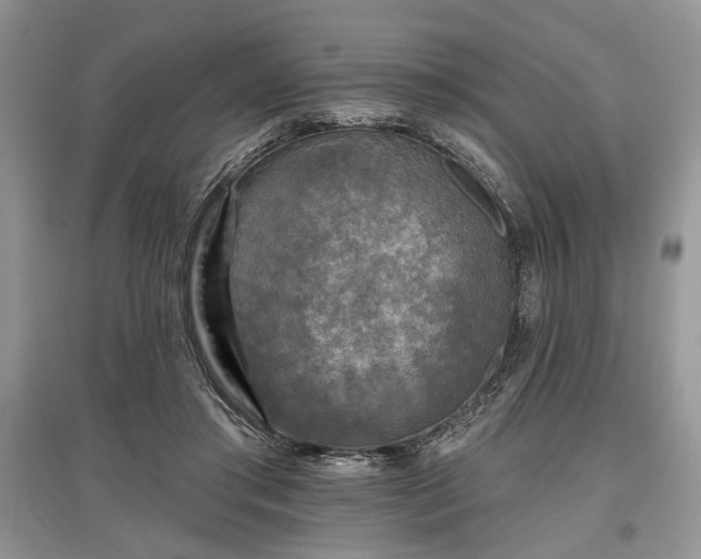 X0000097610405200803071454
