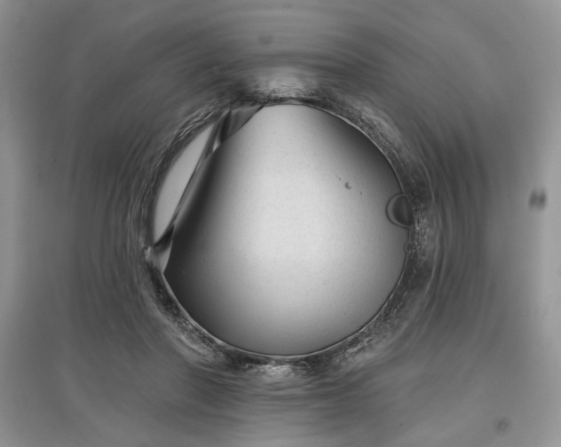X0000097610406200803071453