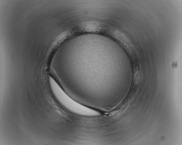 X0000097610407200803071453