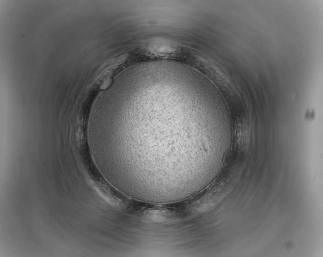 X0000097610408200803071453
