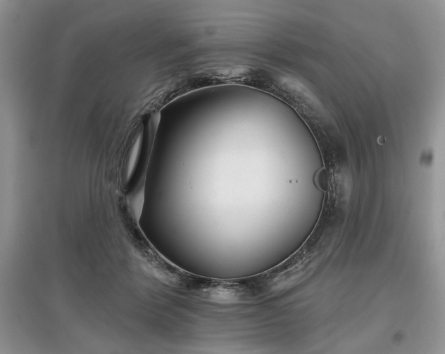 X0000097610412200803071453