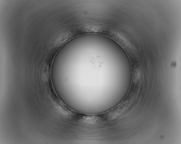 X0000097610414200803071453