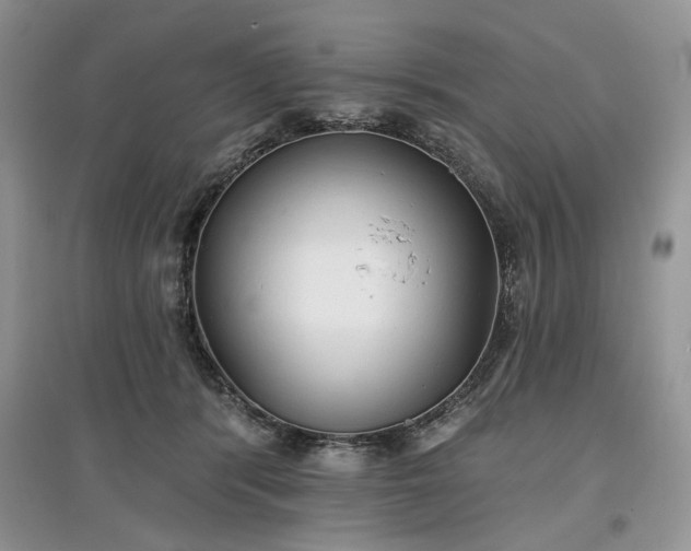 X0000097610416200803071453