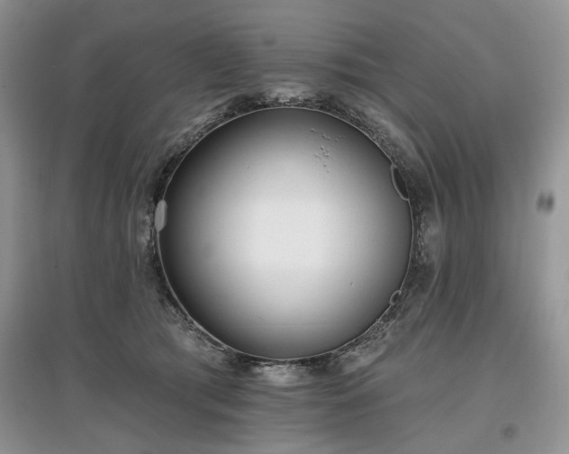X0000097610417200803071453
