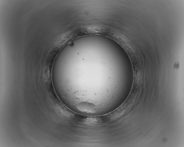 X0000097610418200803071453