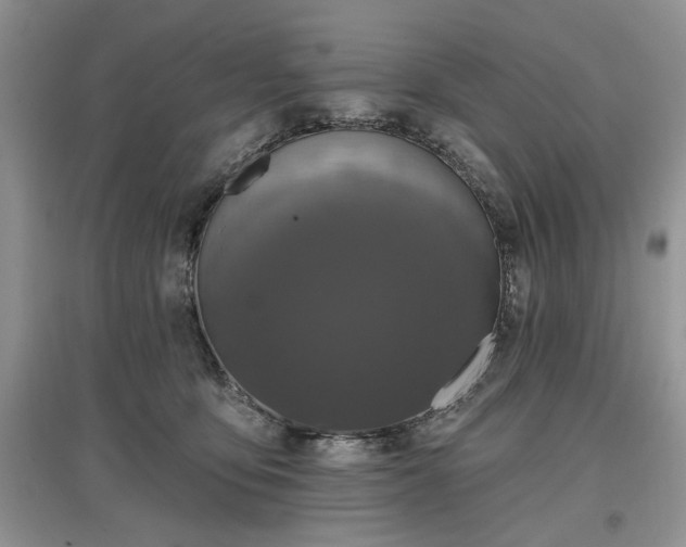 X0000097610419200803071453