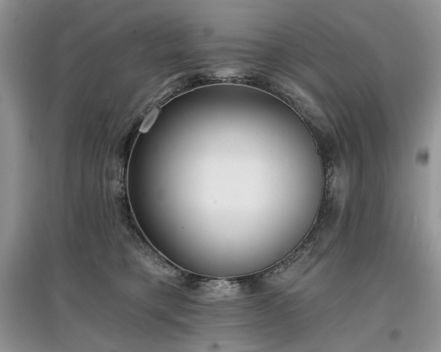 X0000097610421200803071453