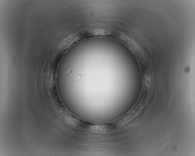 X0000097610422200803071453