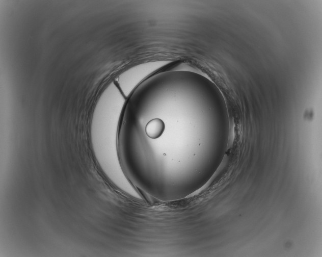 X0000097610423200803071453