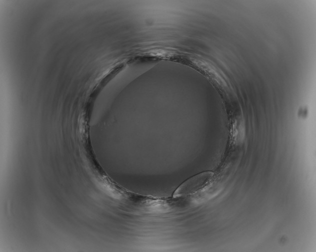 X0000097610424200803071453