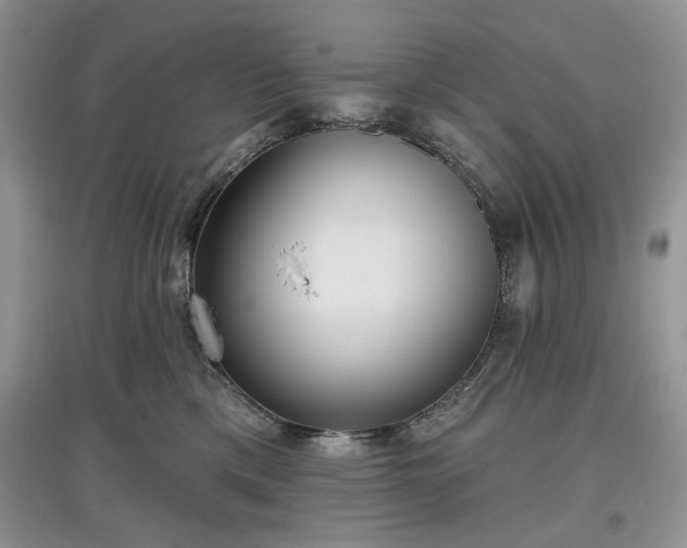 X0000097610425200803071453