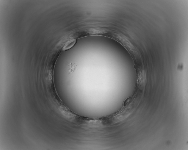 X0000097610426200803071453