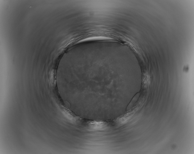 X0000097610428200803071453