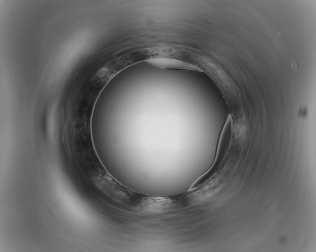 X0000097610429200803071453