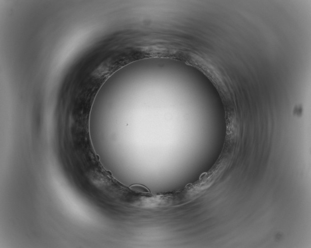 X0000097610430200803071453