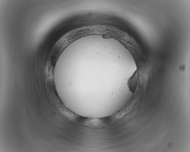 X0000097610431200803071453