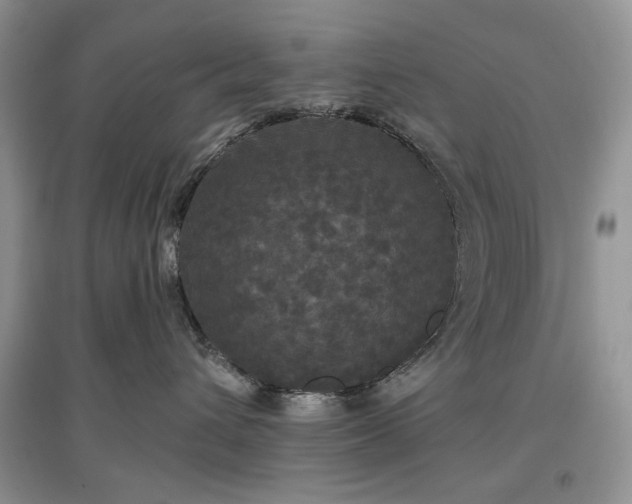 X0000097610432200803071453