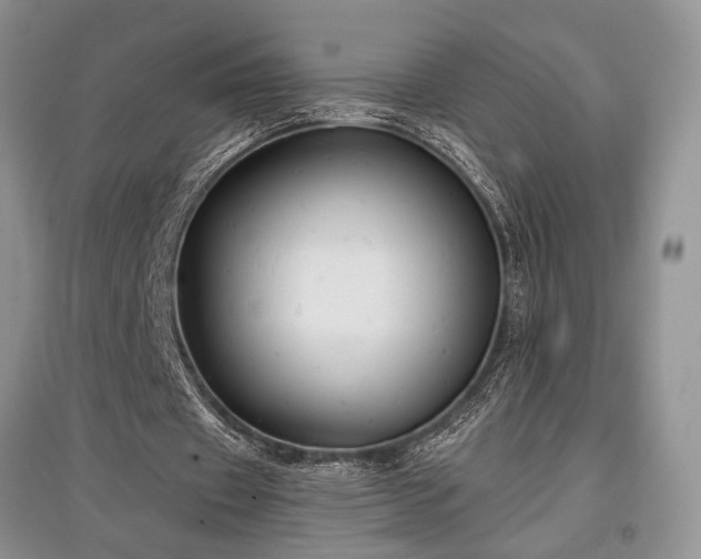X0000097610433200803071453