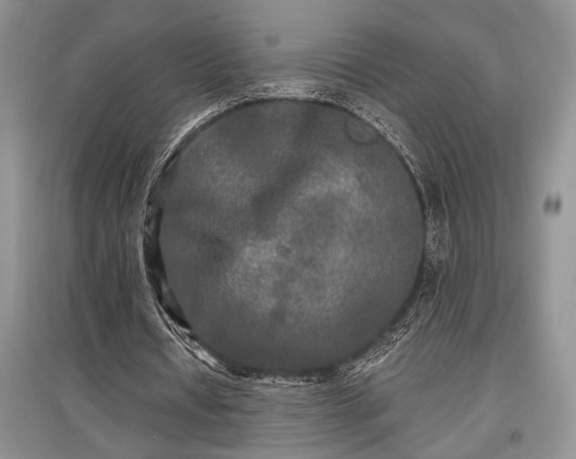 X0000097610434200803071453