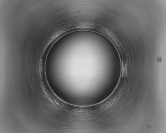 X0000097610435200803071453