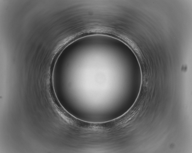X0000097610437200803071453