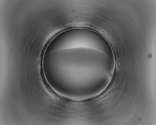 X0000097610438200803071453