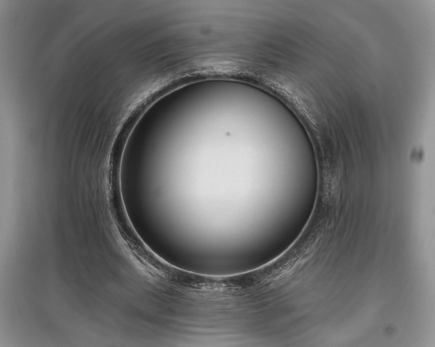 X0000097610439200803071453