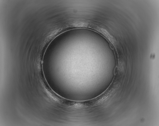 X0000097610441200803071453