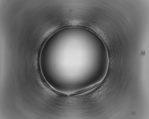 X0000097610442200803071453