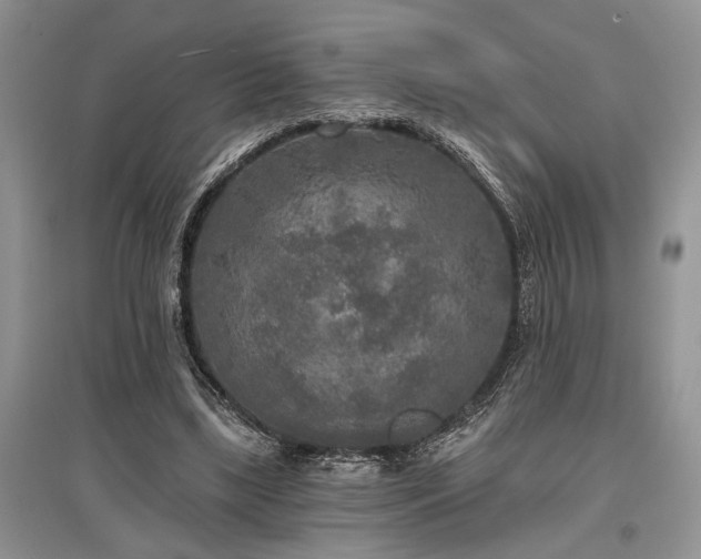 X0000097610443200803071453