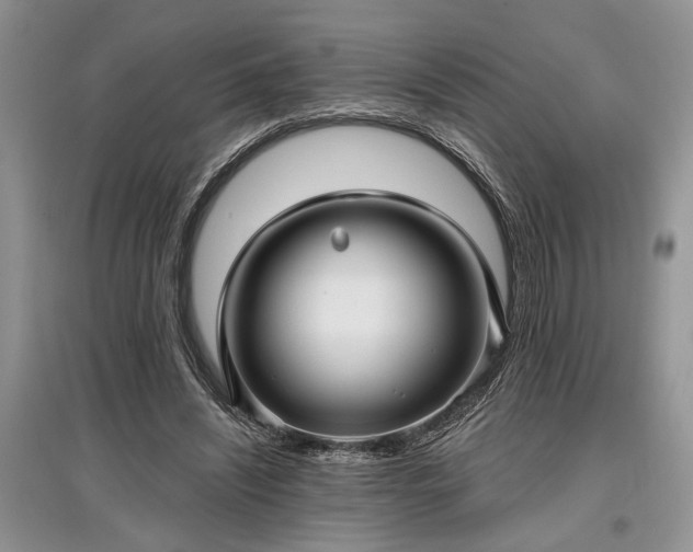 X0000097610444200803071453