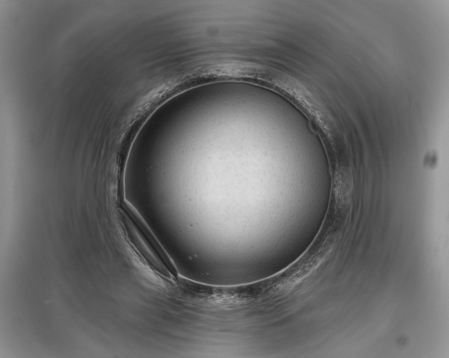 X0000097610445200803071453