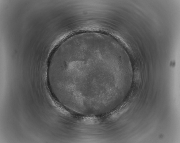 X0000097610446200803071453