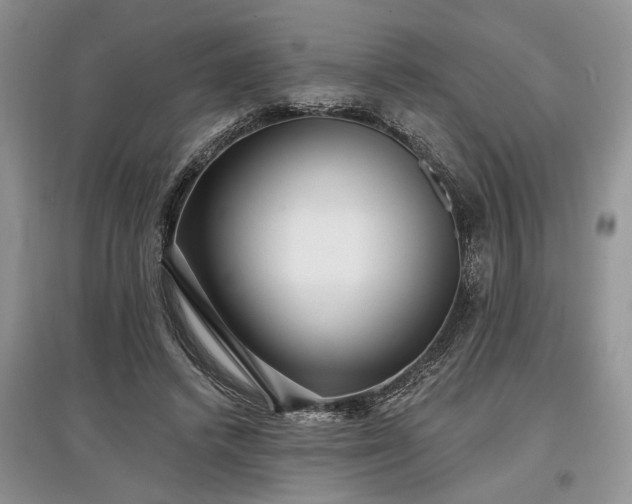 X0000097610448200803071453