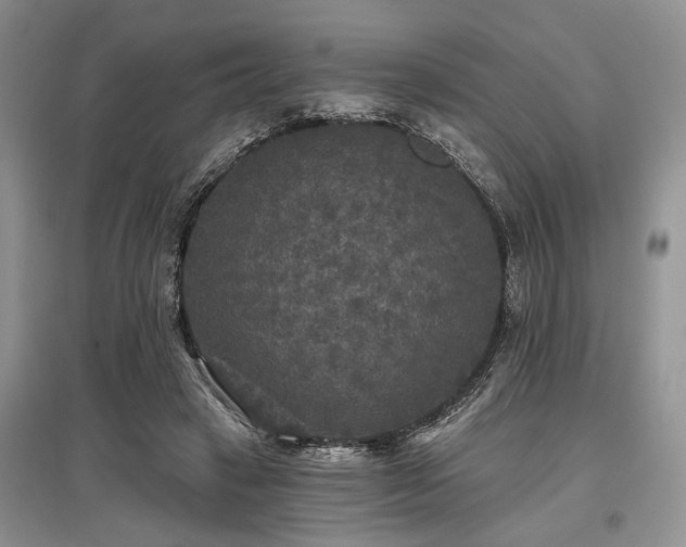 X0000097610449200803071453